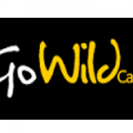 Go Wild Online Casino